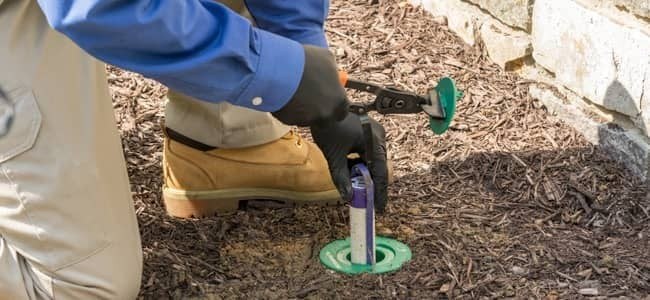 A technician checking a termite bait station in the soil by a home