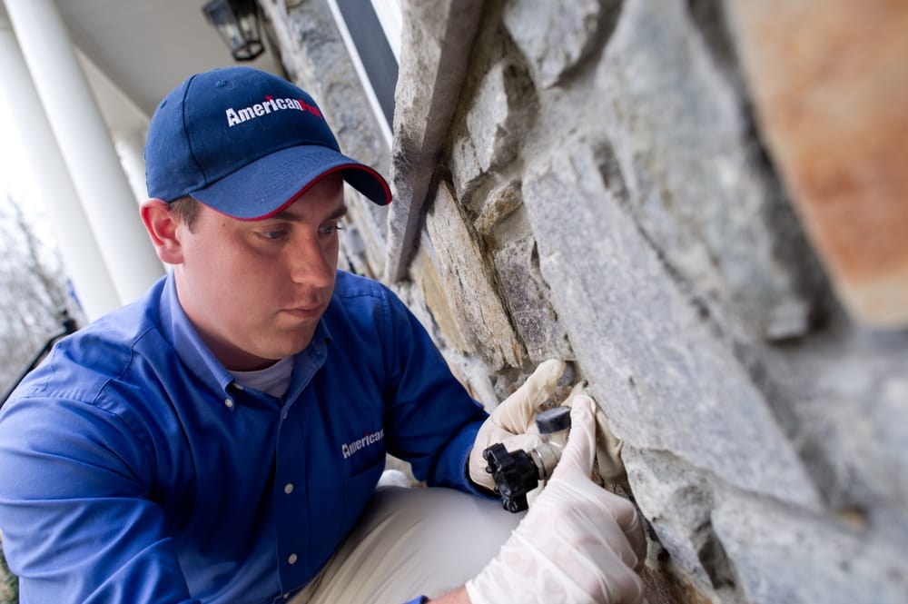 A technician sealing a rodent entry point on a stone foundation wall
