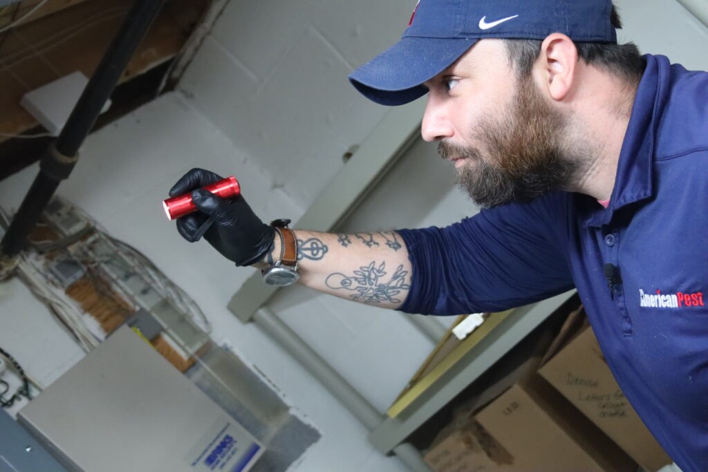 An American Pest technician inspecting a basement structure with a flashlight