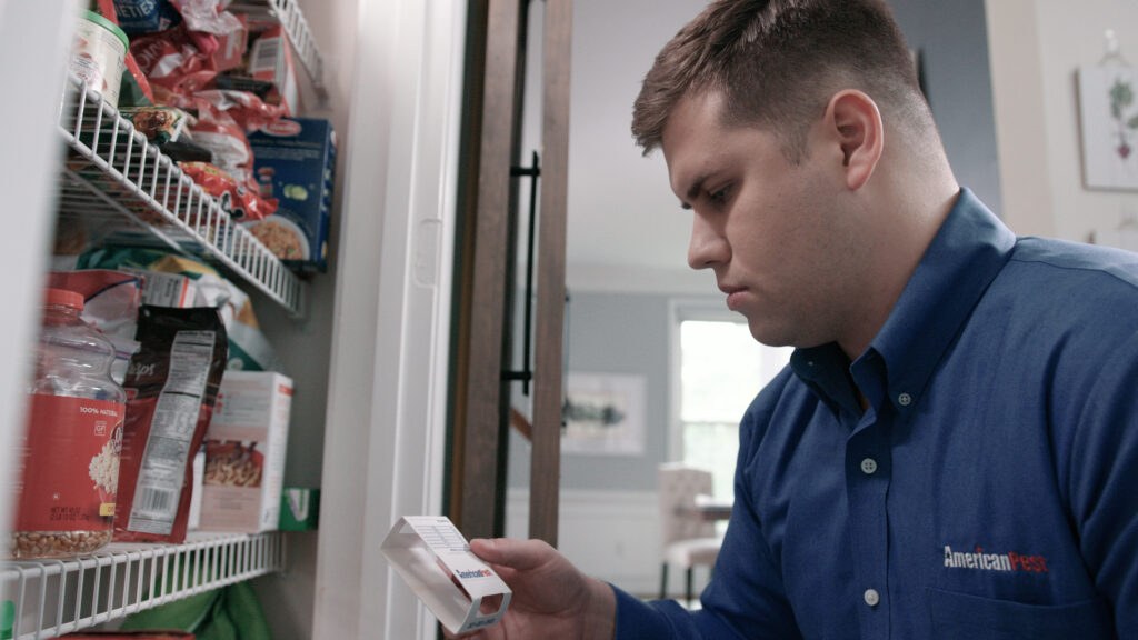 An American Pest technician inspecting a monitoring device in a pantry