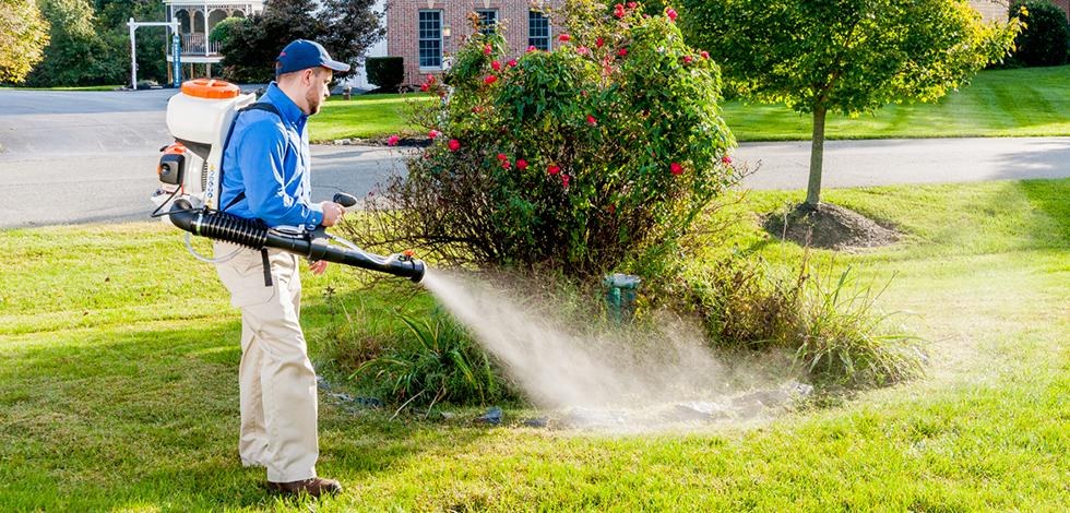 An American Pest technician misting shrubs for mosquito and tick control
